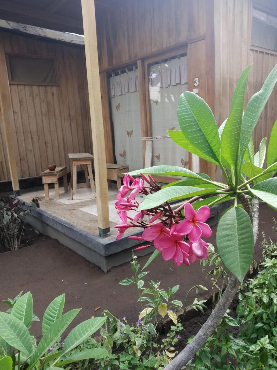 Beach Box Bungalow غيلي تراوانغان المظهر الخارجي الصورة