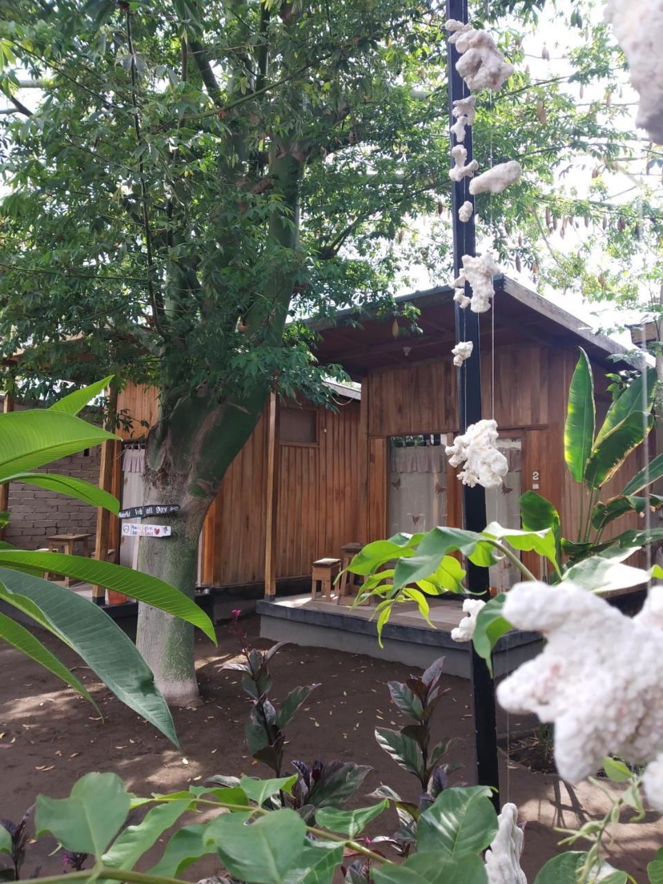 Beach Box Bungalow غيلي تراوانغان المظهر الخارجي الصورة